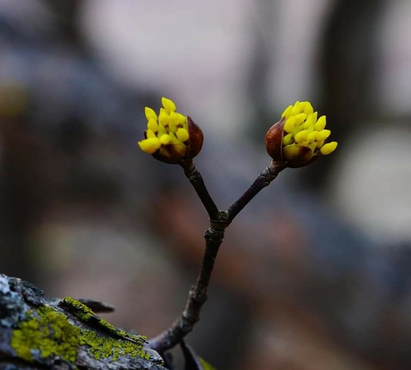 사진제공, 정재웅목사