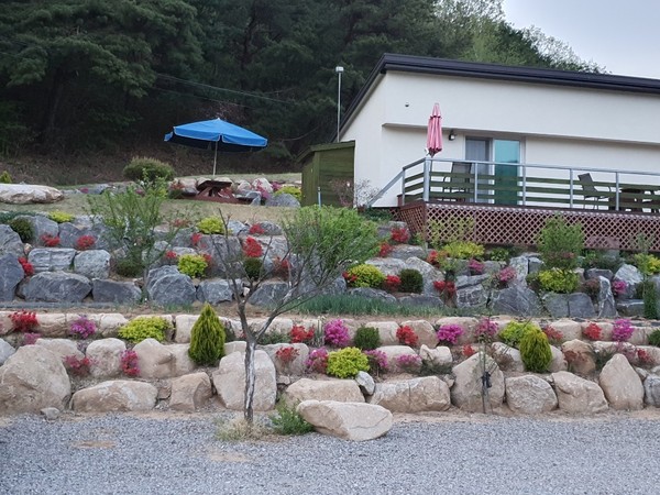 변화산기도원(춘천) 숙소앞 정원석 사이에 피어 있는 아름다운 꽃....