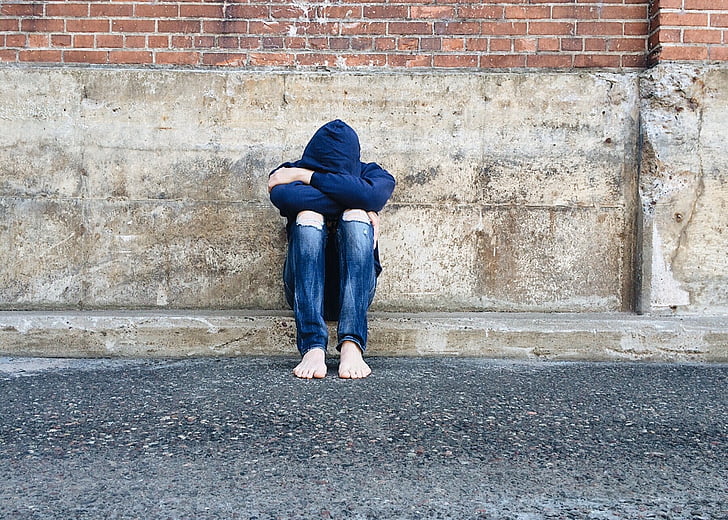 자료출처 : pickpik.com