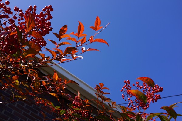 사진제공, 이일화목사