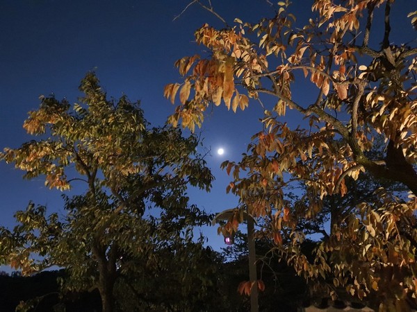 사진제공: 정장면목사