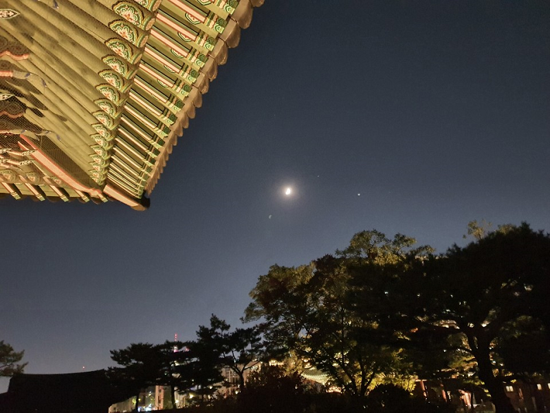 사진제공 : 정장면 교수