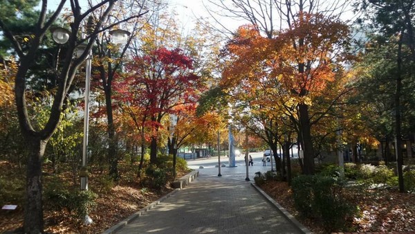 제주도 한라산 600미터 고지에 위치하고 있는 창암재활원 들어가는 입구