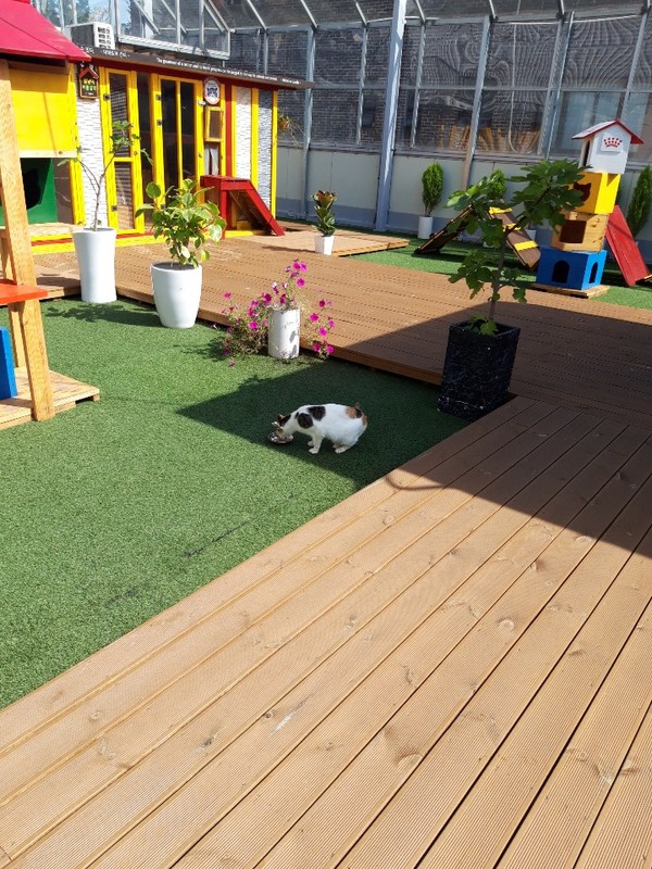 센터, 길고양이 휴식공간