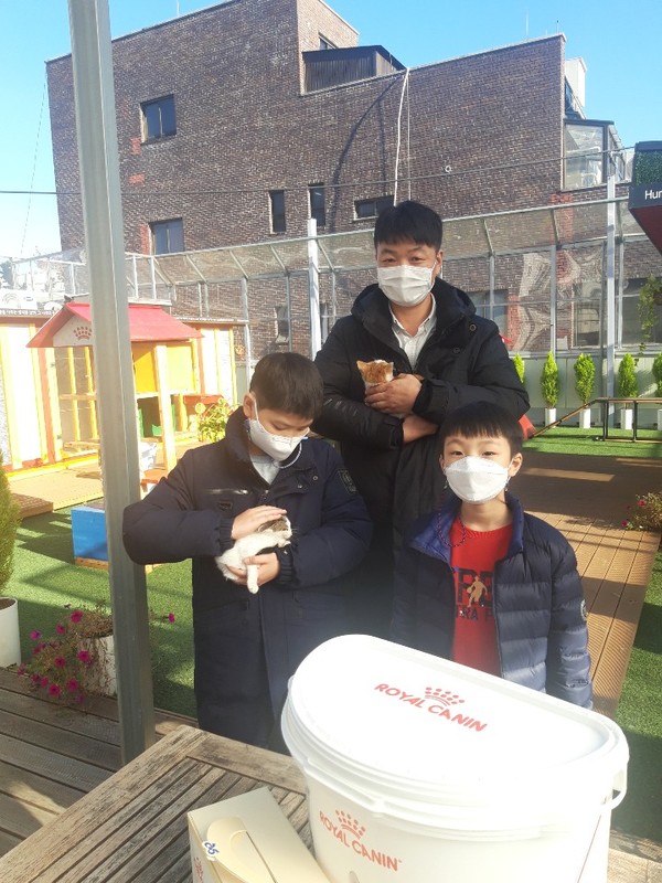 길냥이  새끼를 입양하는 가족