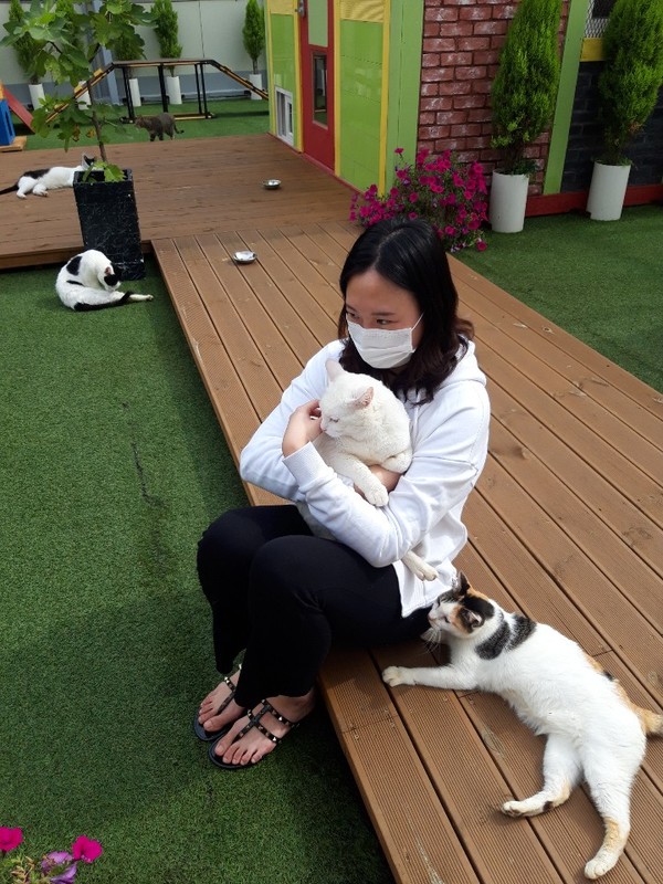 길냥이를 사랑으로 보살피는 회원