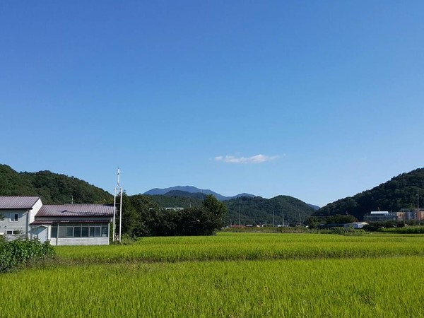 광주 주님의교회(고경태목사)