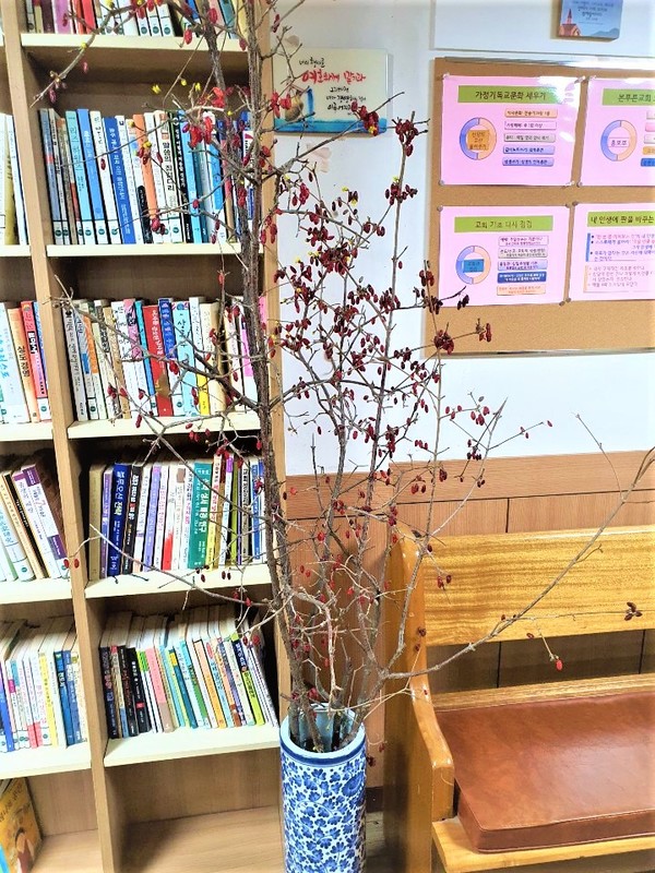 마르고 앙상한 산수유 나무에 바싹 마르고, 비틀어진 열매만 있는 모습