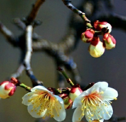 사진제공, 박병득(미래포럼사무총장)