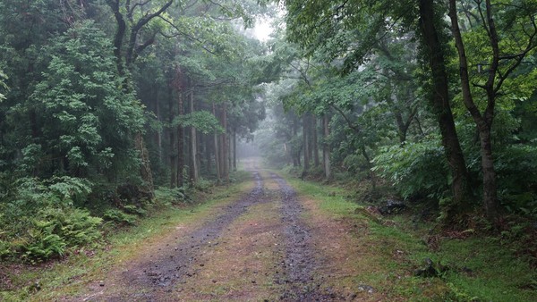 사진: 이일화작가