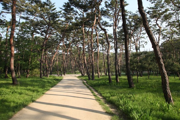 사진: 이일화작가