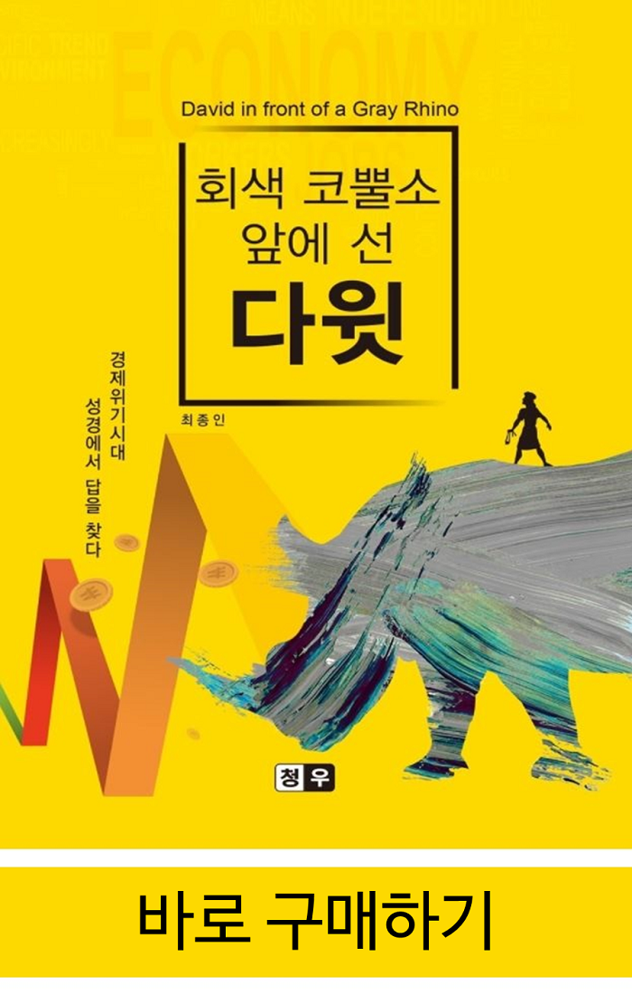 회색 코뿔소 앞에 선 다윗 | 최종인 저 | 청우 | 2021.08
