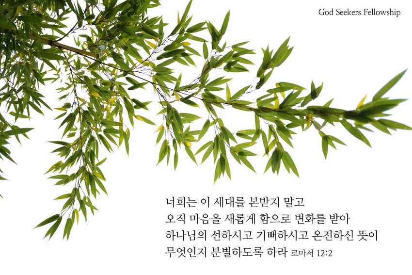 이일화 작가 말씀 액자