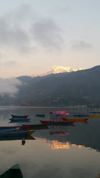   페와호수의 일출