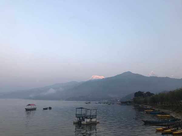 포카라 페와호수 아침산책중에...