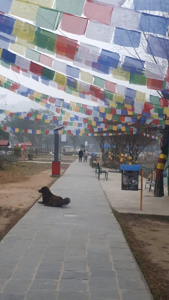 페와호수 산책로!