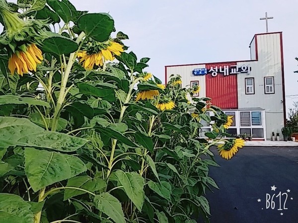 성내교회, 전남무안 농촌교회, 리모델링한 후의 교회 모습