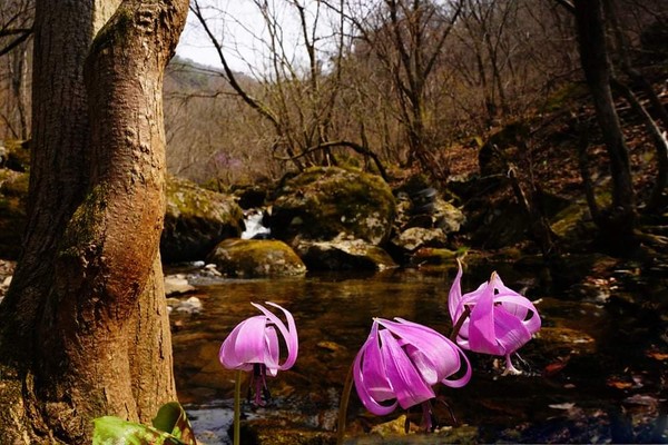 사진-이강천목사