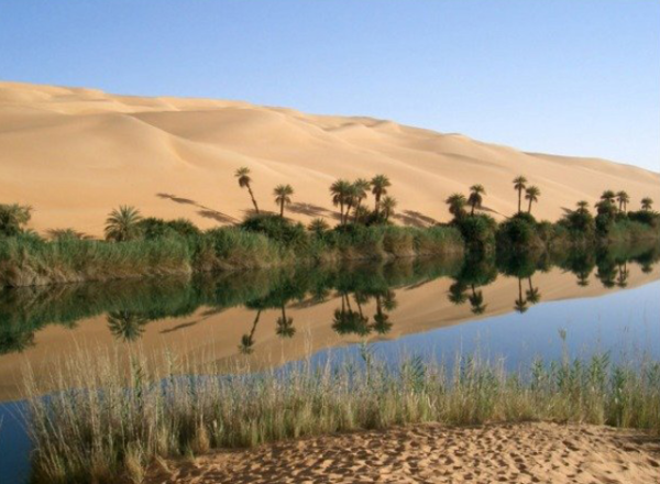 사하라 사막의 오아시스