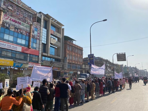 벅터풀시 거리행진