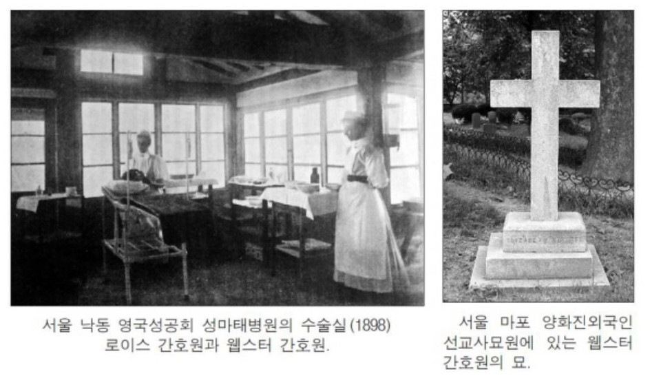 자료출처 : 간호사신문 http://www.nursenews.co.kr/main/ArticleDetailView.asp?sSection=61&idx=6623