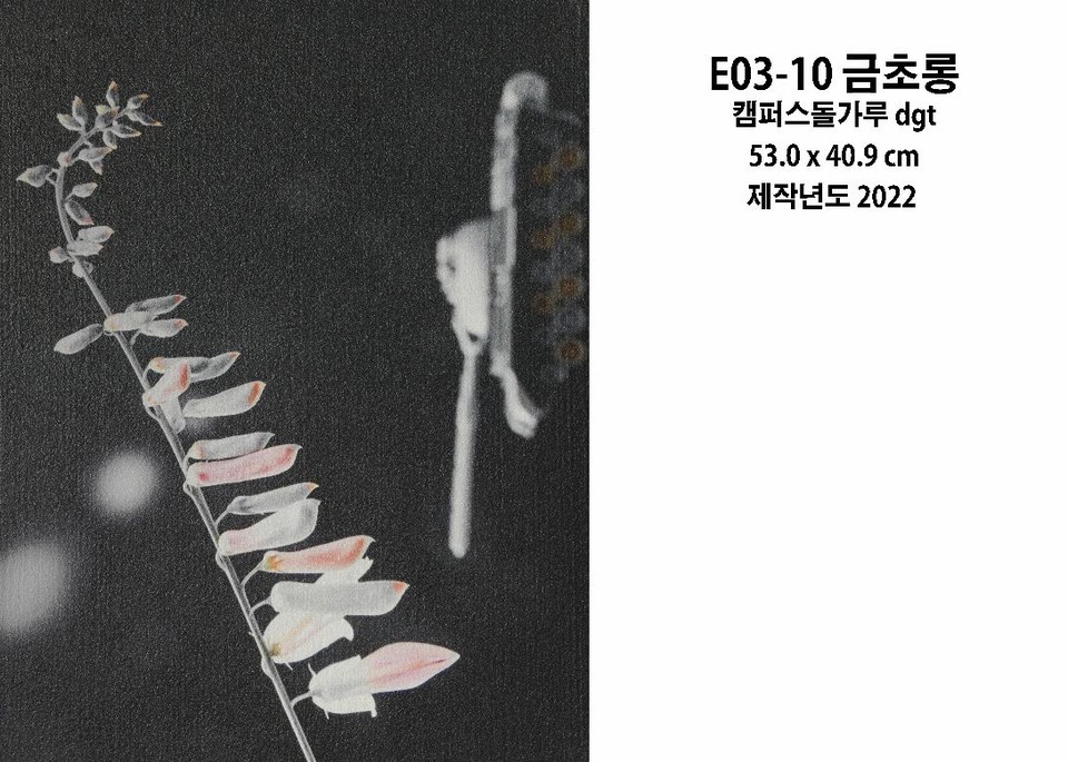 작품명 : 금초롱