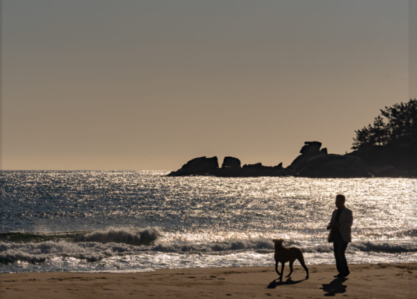 저자의 6개월 양양 살이