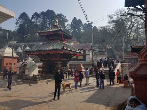 유네스코 문화유산으로 등재되어 있는 Pashupatinath Temple의 화장터모습입니다