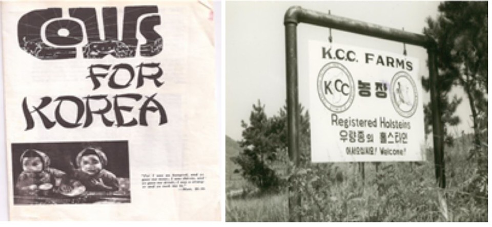소 보내기 운동과 파주 농장