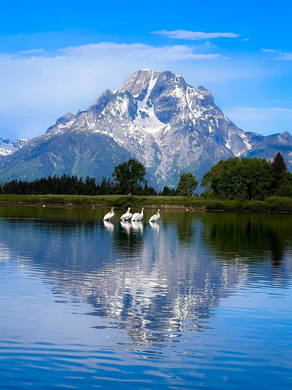 사진제공 : 정준모 목사