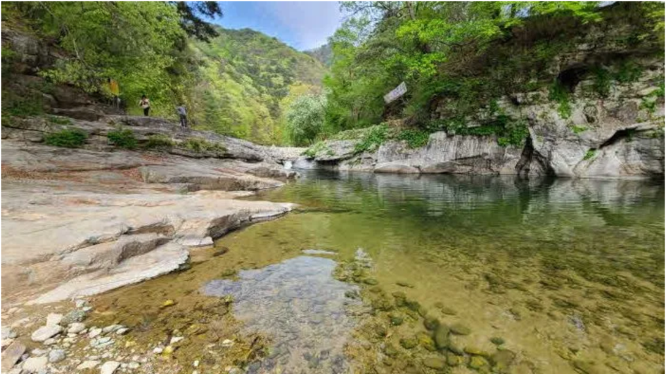 〆수타계곡의 용담 (사진 조성연)