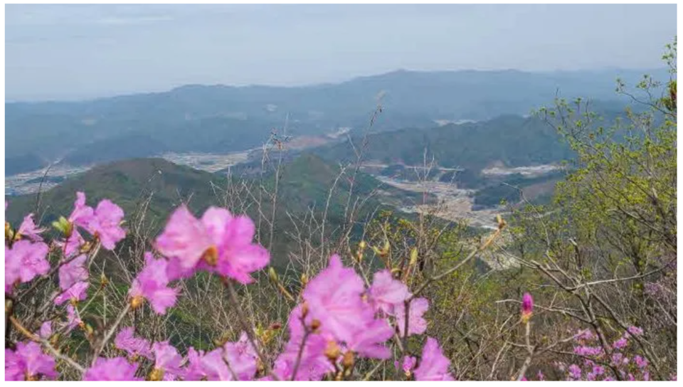 〆정상에서 바라본 홍천일대 (사진 조성연)