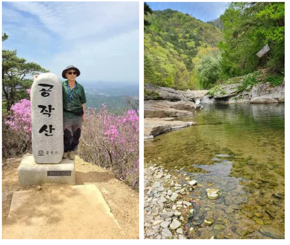 〆수타산 정상에선 필자(사진 이경재)와 수타계곡의 용담 (사진 조성연)