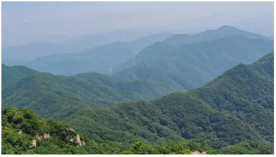 〆정상에서 바라본 동쪽 전경(사진 조성연)