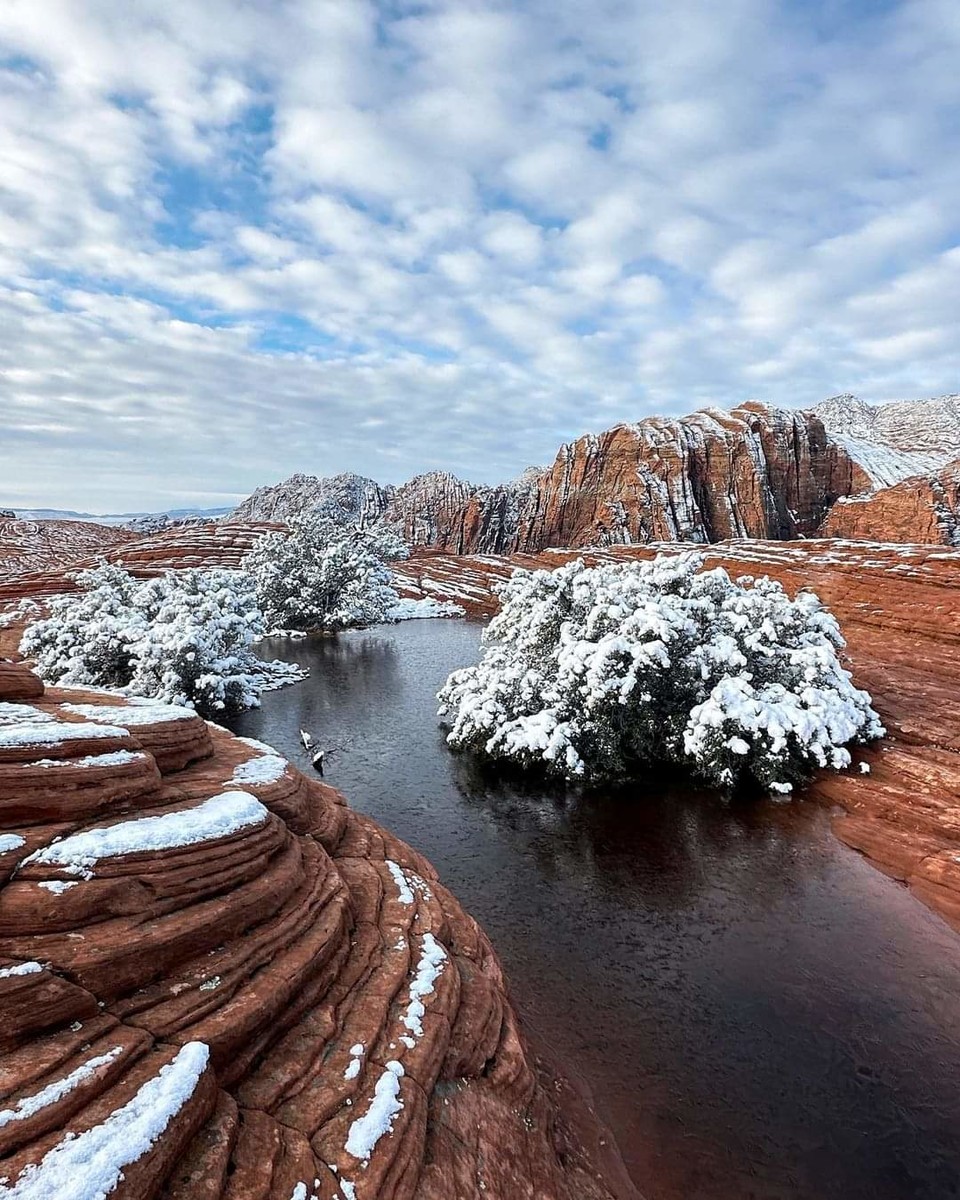 사진제공 : 정준모 목사