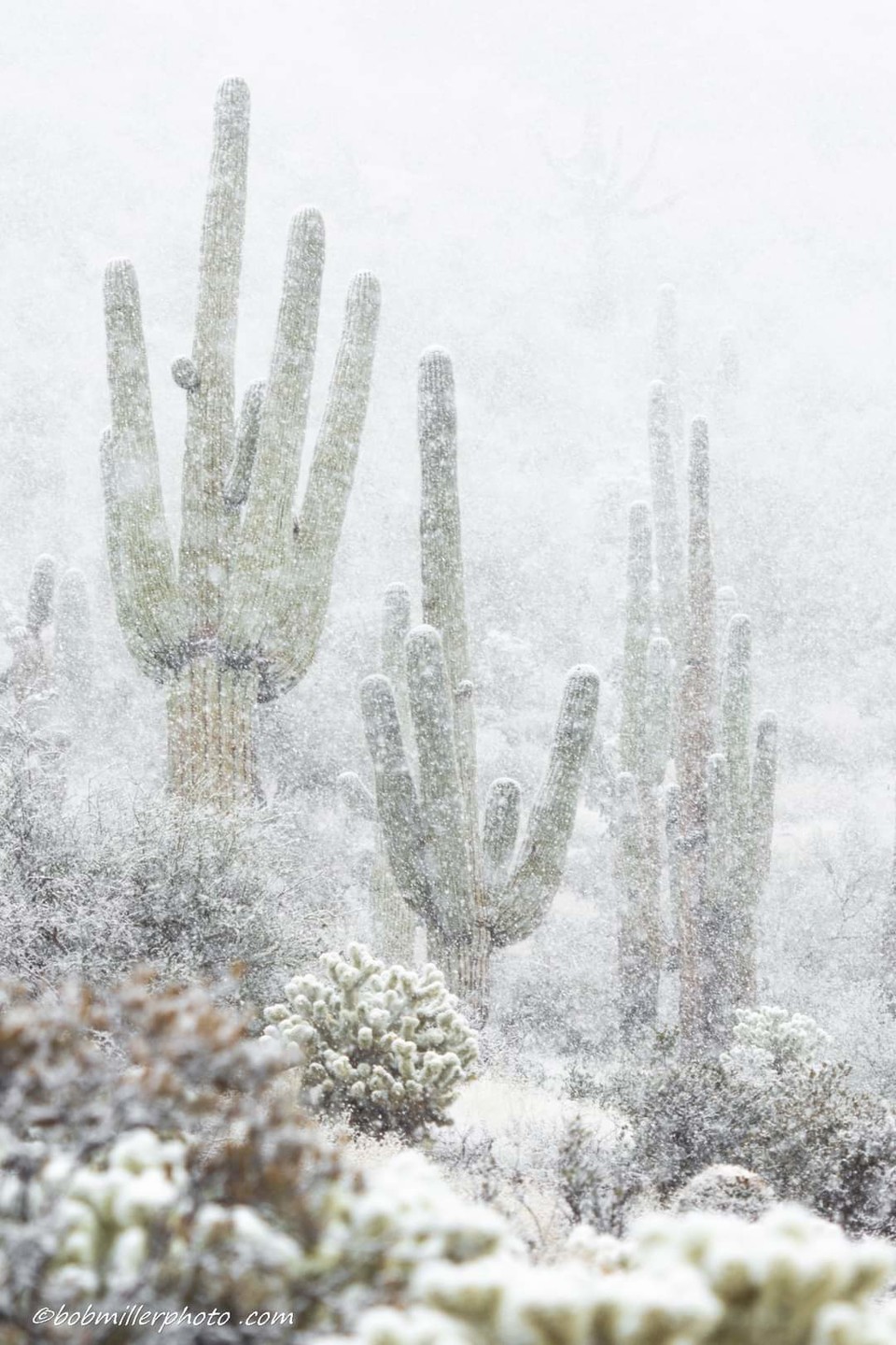 사진제공 : 정준모 목사