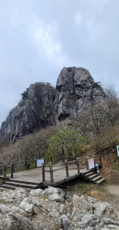 가지산 정상부근의 쌀 바위 전경(사진 조성연)