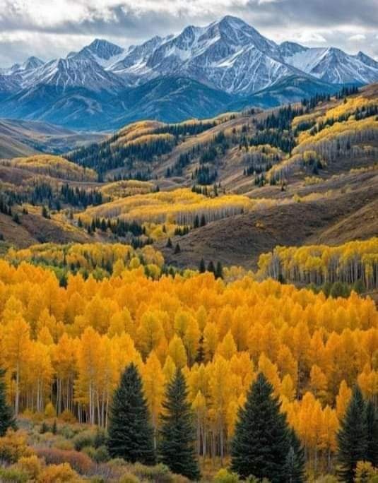 사진제공 : 정준모 목사(라이프굿타임즈 대표)