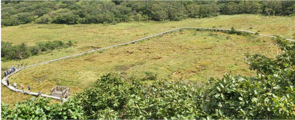 전망대에서 내려다본 큰 용늪 (사진 조성연)