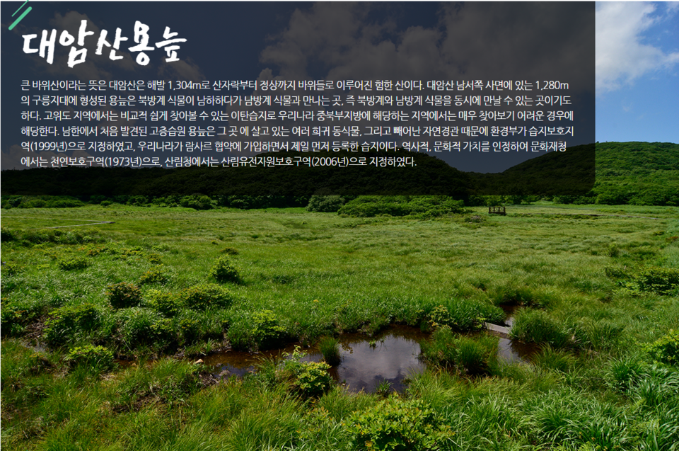 대암산 용늪, 인제군 대암산 안내 홈페이지에서 이미지 갈무리