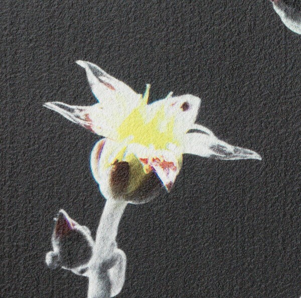 인간과 인간관계의 조합을 꿈꾸며