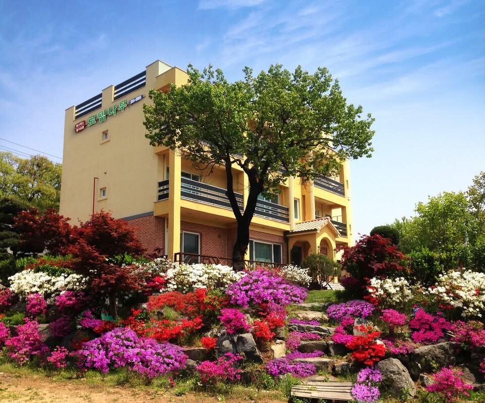 로뎀나무 쉼터에 다시 봄날이 찾아온다. 호스피스인들에게 진정한 생명의 봄은 예수님 안에서 거듭남이다.