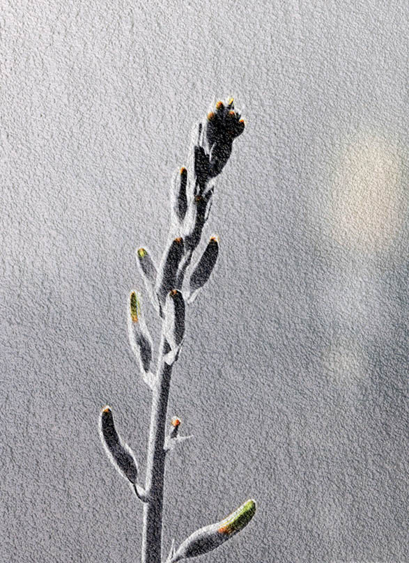 한 작품 안에는 수 많은 스토리가 담겨있어요 그래서 원 작품애서 일부를 크로즈업해서 표현합니다.