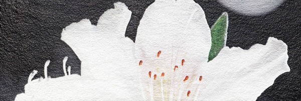 한 작품 안에는 수 많은 스토리가 담겨있어요 그래서 원 작품애서 일부를 크로즈업해서 표현합니다.