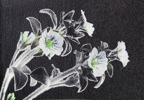 한 작품 안에는 수 많은 스토리가 담겨있어요 그래서 원 작품애서 일부를 크로즈업해서 표현합니다.