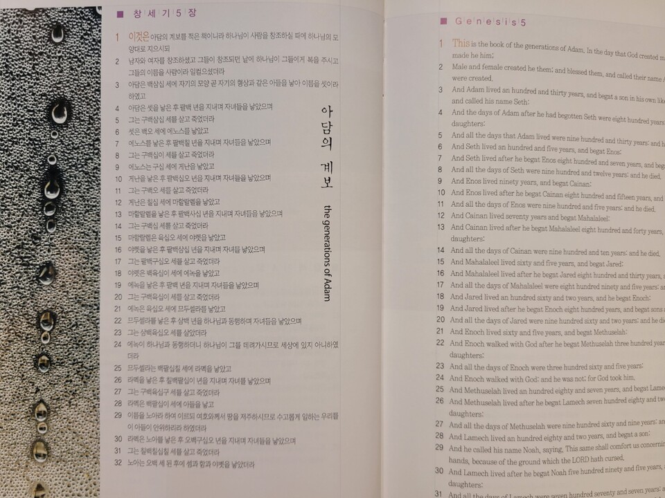 『사진예술로 찬양하는 창세기』 중에서 아담의 계보