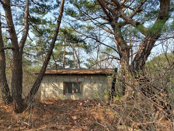 기도원 산위 정상에 기도의 집을 짓고 평생 기도하다가 소천 하신 아버지