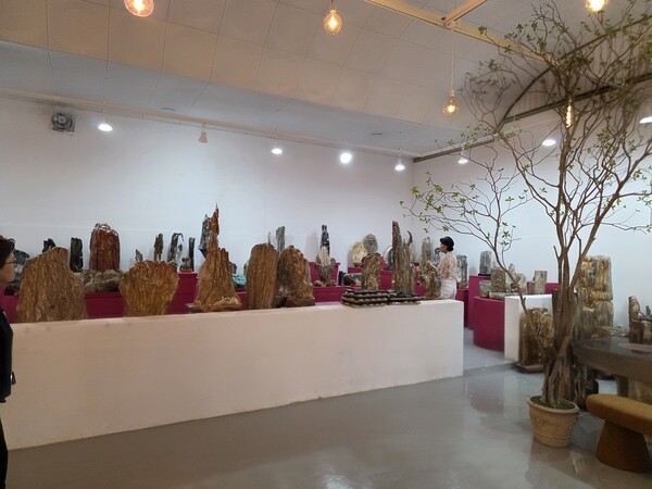 늦은 방문객을 위하여 그녀는 아낌 없이 망설임 없이 전시장 조명을 밝혀 주었다.