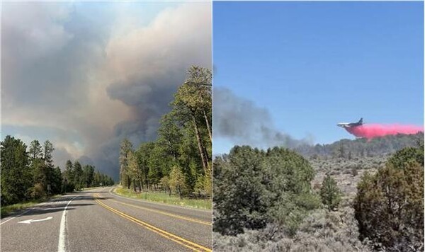 화재진압에 총력을 기울인 미국 소방 당국