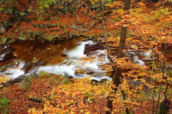 사진_이강천 목사_페북 